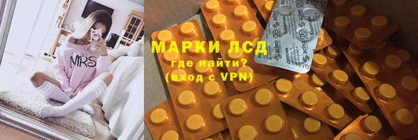 прущие грибы Алзамай