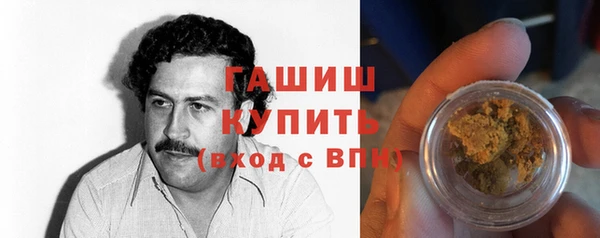 прущие грибы Алзамай