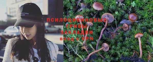 бошки Алексин