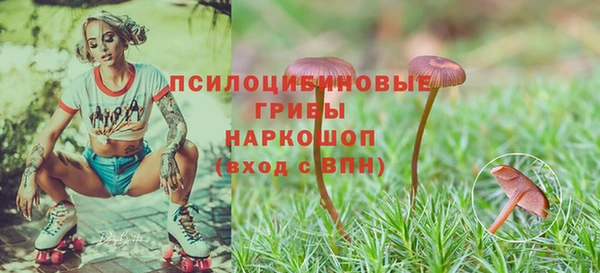 трава Ельня