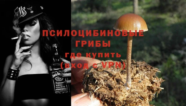 бошки Алексин