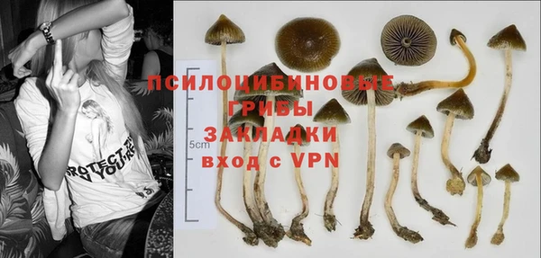 твердый Алексеевка